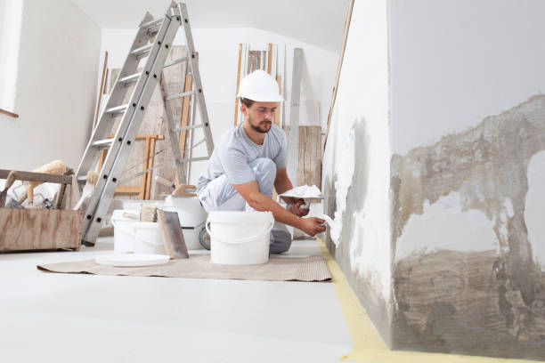 Best Post-Construction Mold Inspection  in Davisboro, GA