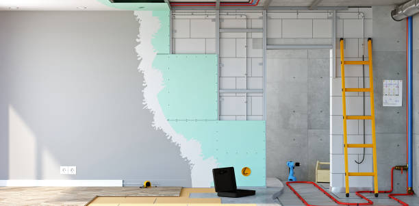 Best Mold Odor Removal Services  in Davisboro, GA