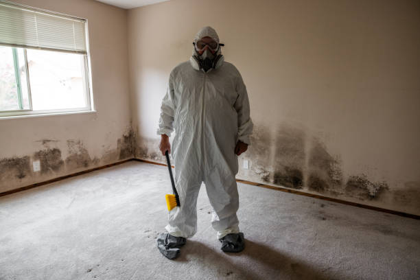 Best Real Estate Mold Inspection  in Davisboro, GA