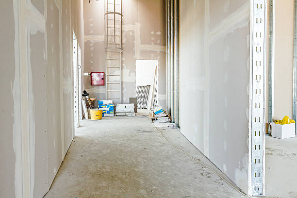 Best Mold Damage Restoration  in Davisboro, GA